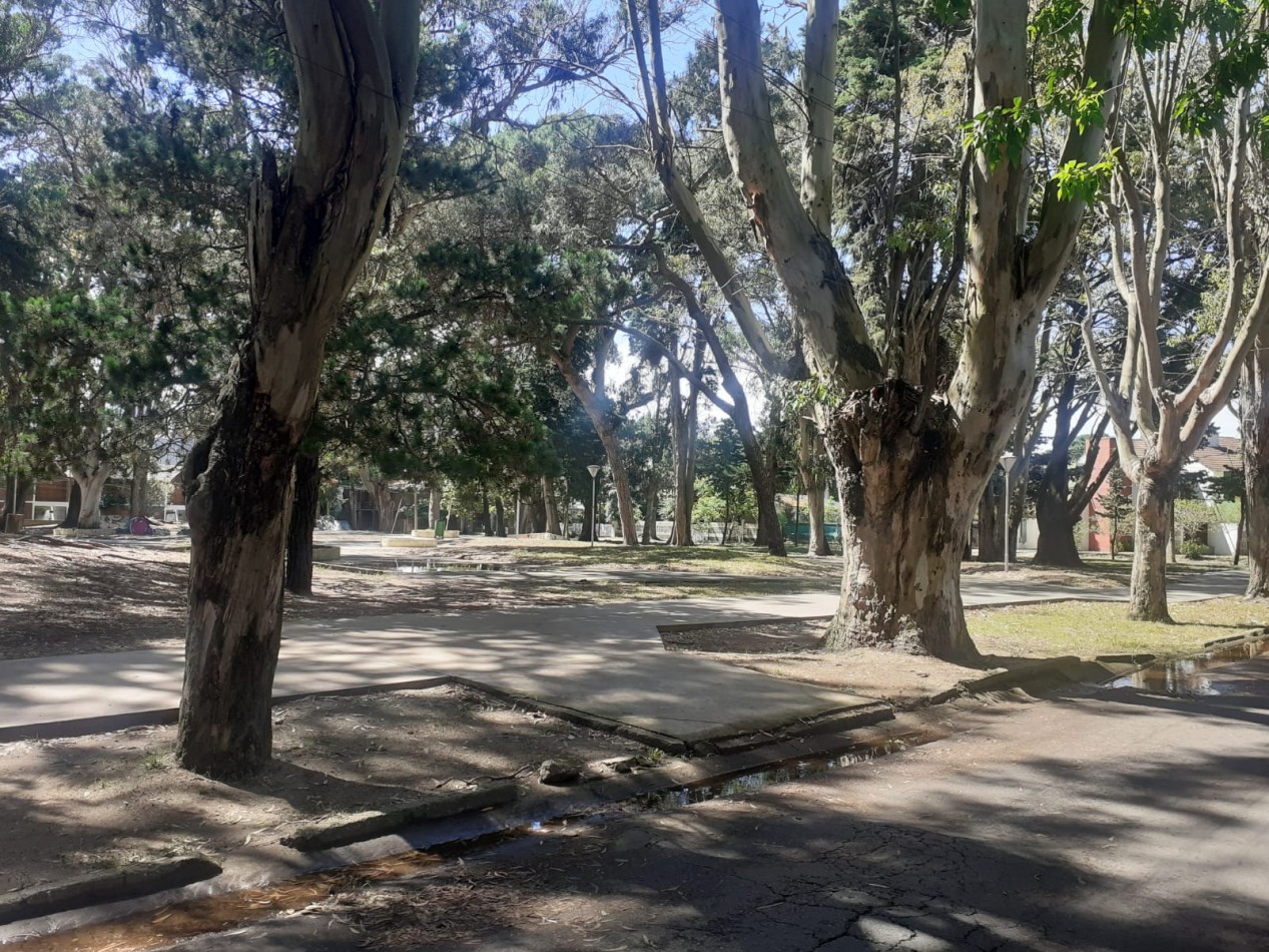 ALQ.TEMP.  3 AMB A ESTRENAR CON COCHERA