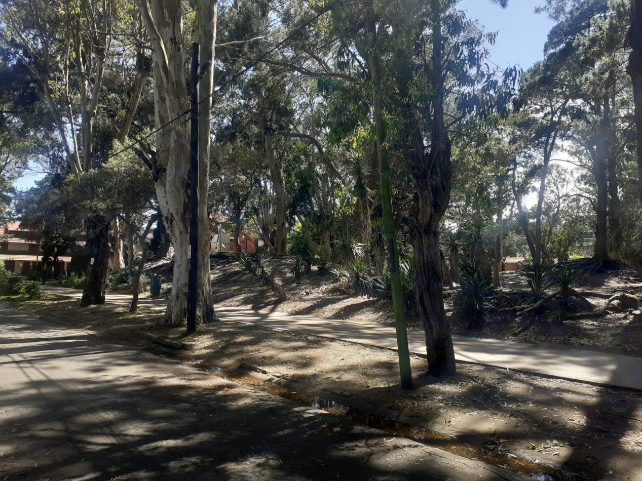 ALQ.TEMP.  3 AMB A ESTRENAR CON COCHERA